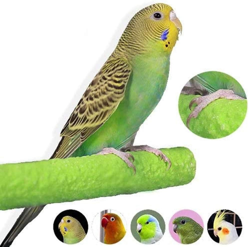 Colorful Bird Perch Stand Platform Natural Wood Playground Paw Grinding Clean for Pet Parrot Budgies Parakeet Cockatiels Conure Lovebirds Rat Mouse Cage Accessories Exercise Toys (Green & Purple)